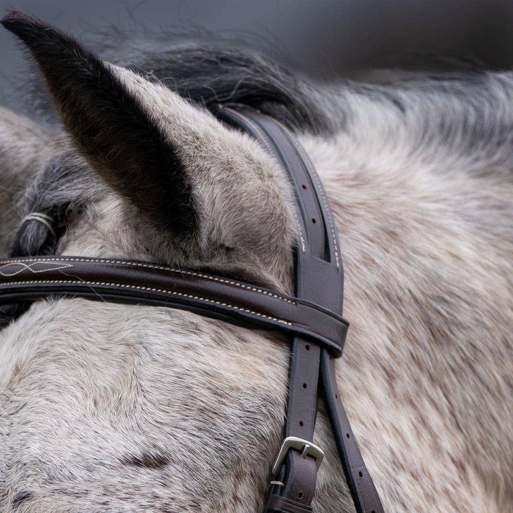 Thornberry - Fancy Raised Padded Leather Hunter Horse Bridle - Havana Brown