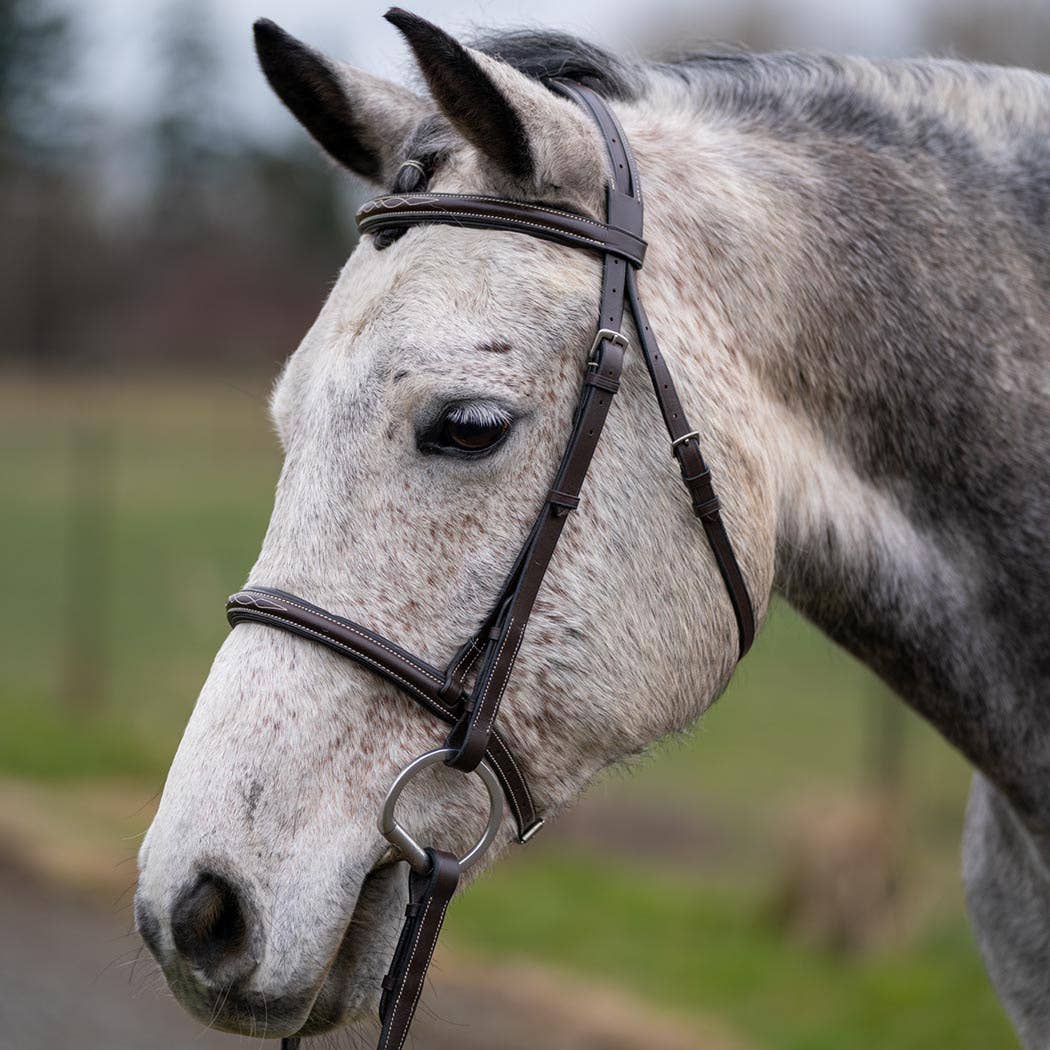 Thornberry - Fancy Raised Padded Leather Hunter Horse Bridle - Havana Brown