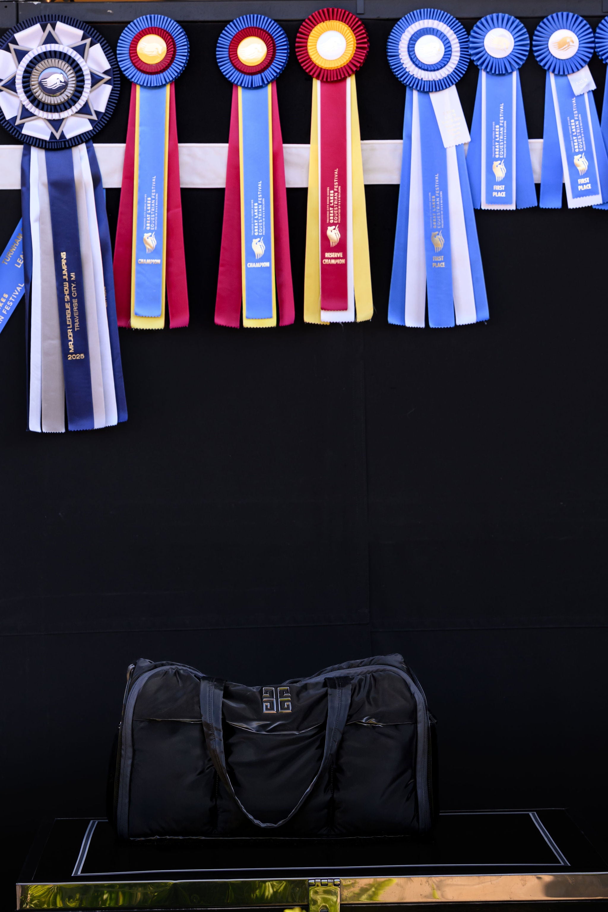 Euphoric Equestrian Weekender Tote