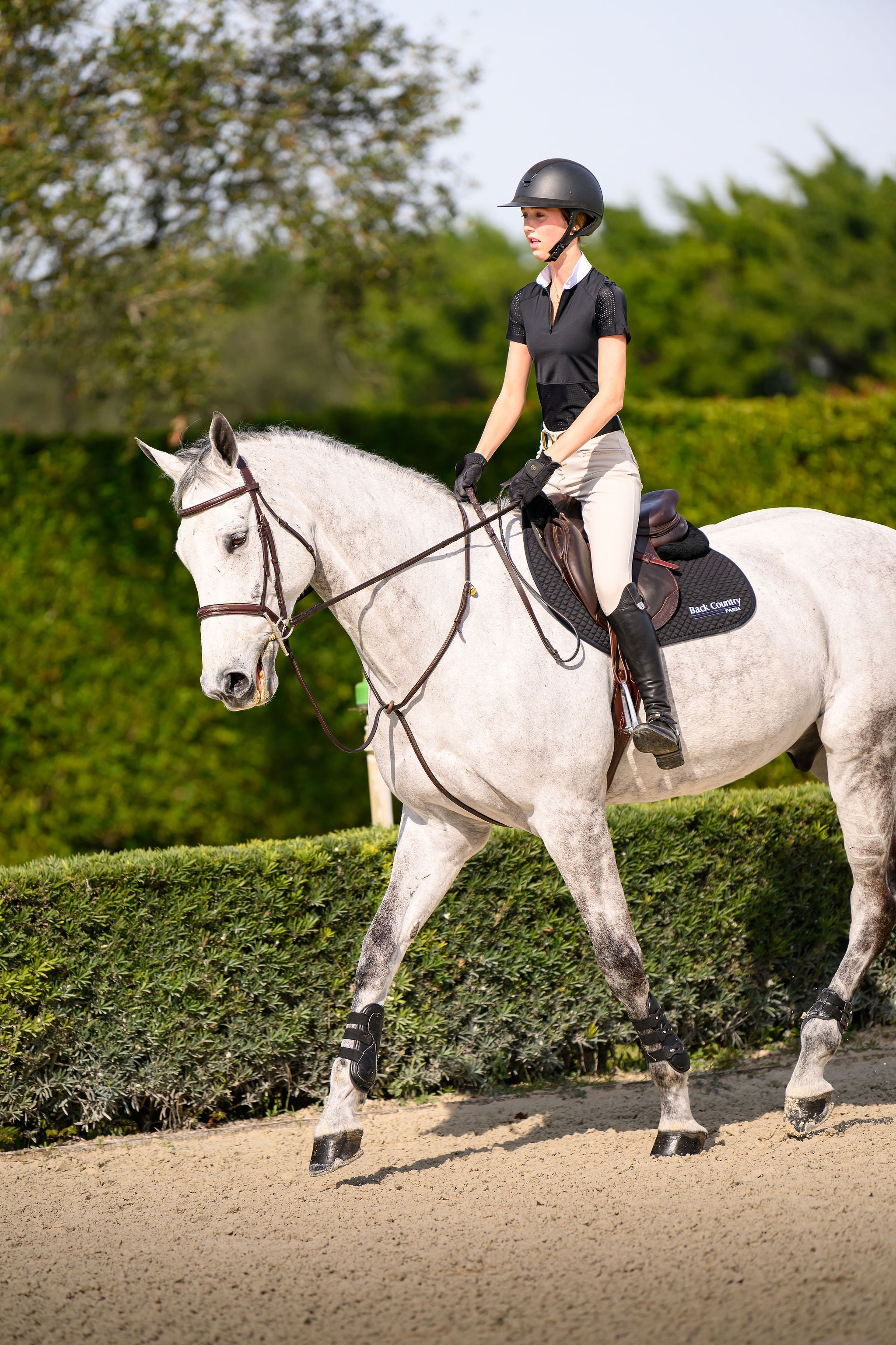 Euphoric Equestrian Grace Short Sleeve Competition Shirt