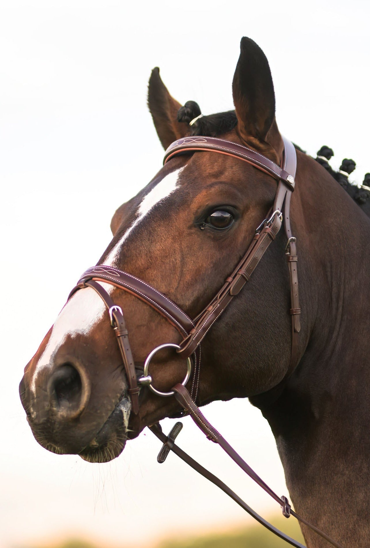 Harcour Kendall Bridle & Reins set