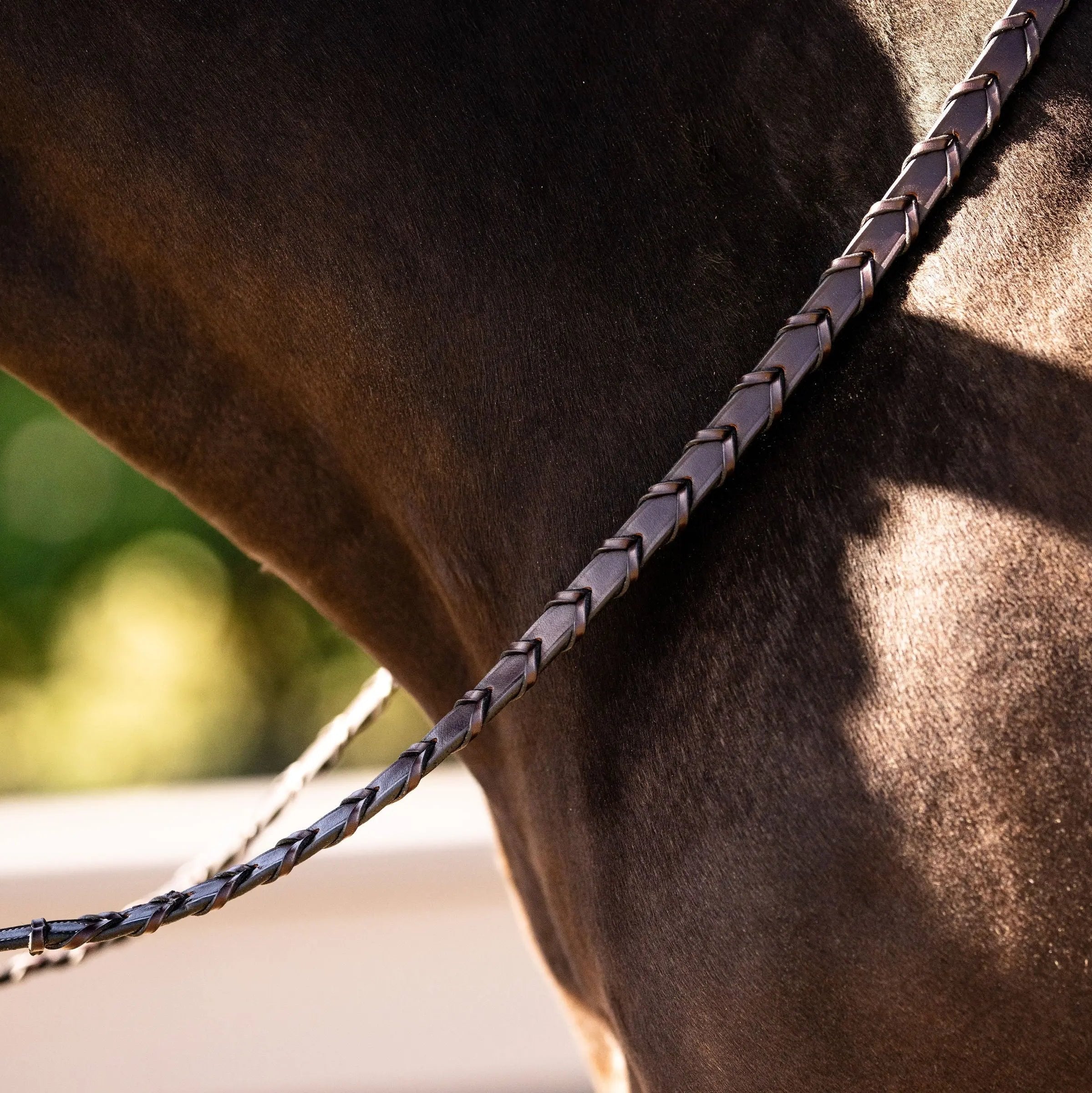 Sedgwick Fancy Stitched Square Raised Laced Reins