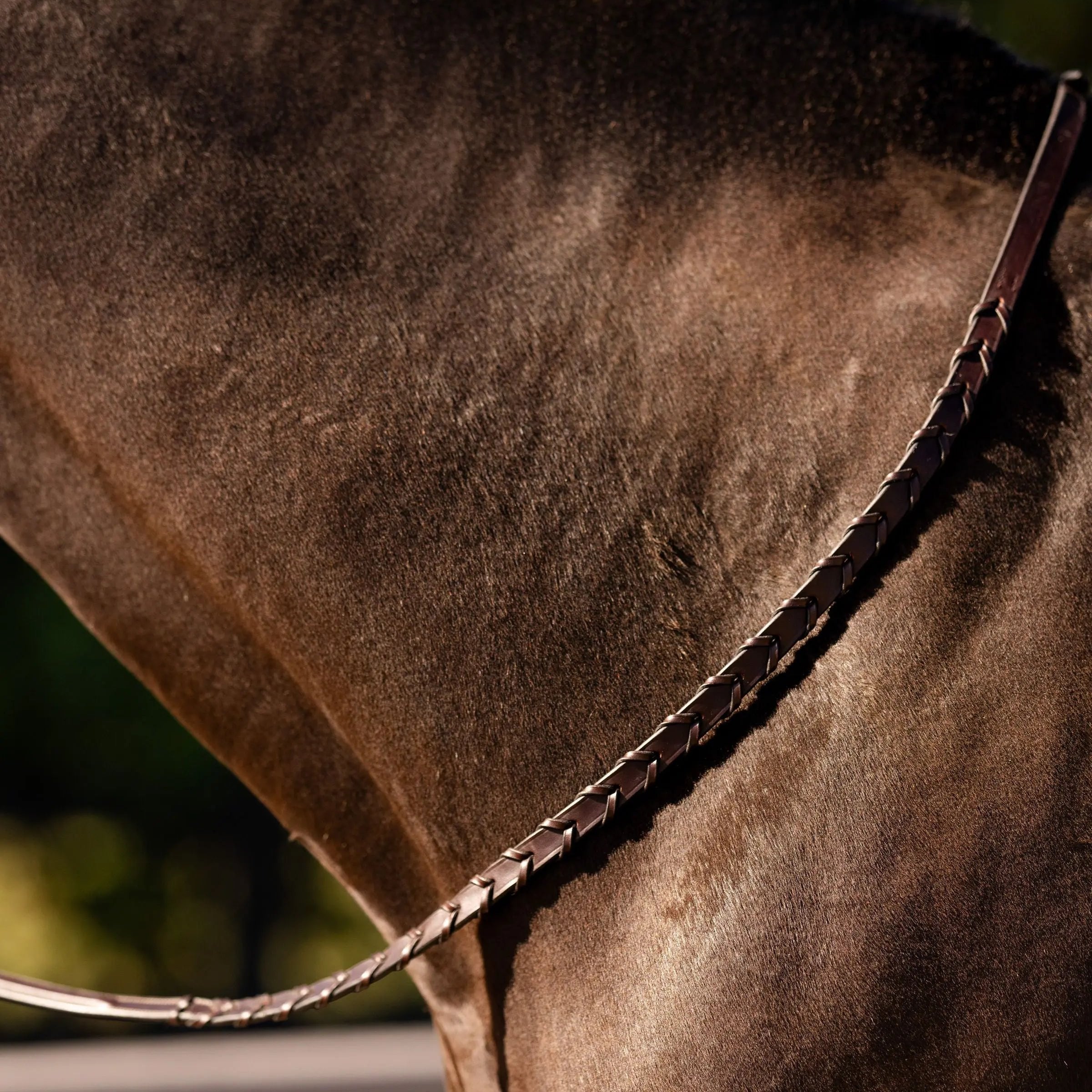 Sedgwick Fancy Stitched Square Raised Laced Reins