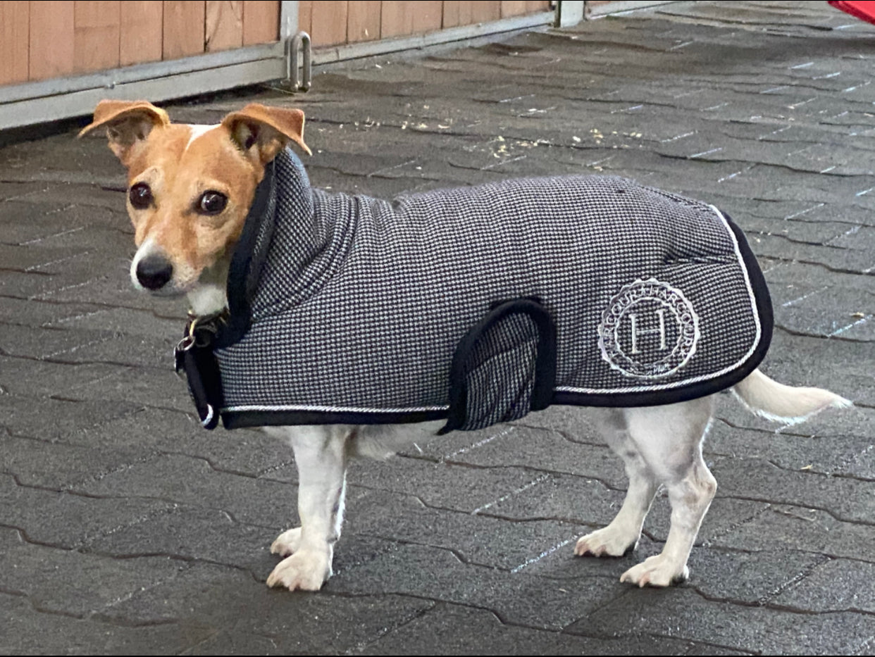 Harcour Code Dog Blanket Coat