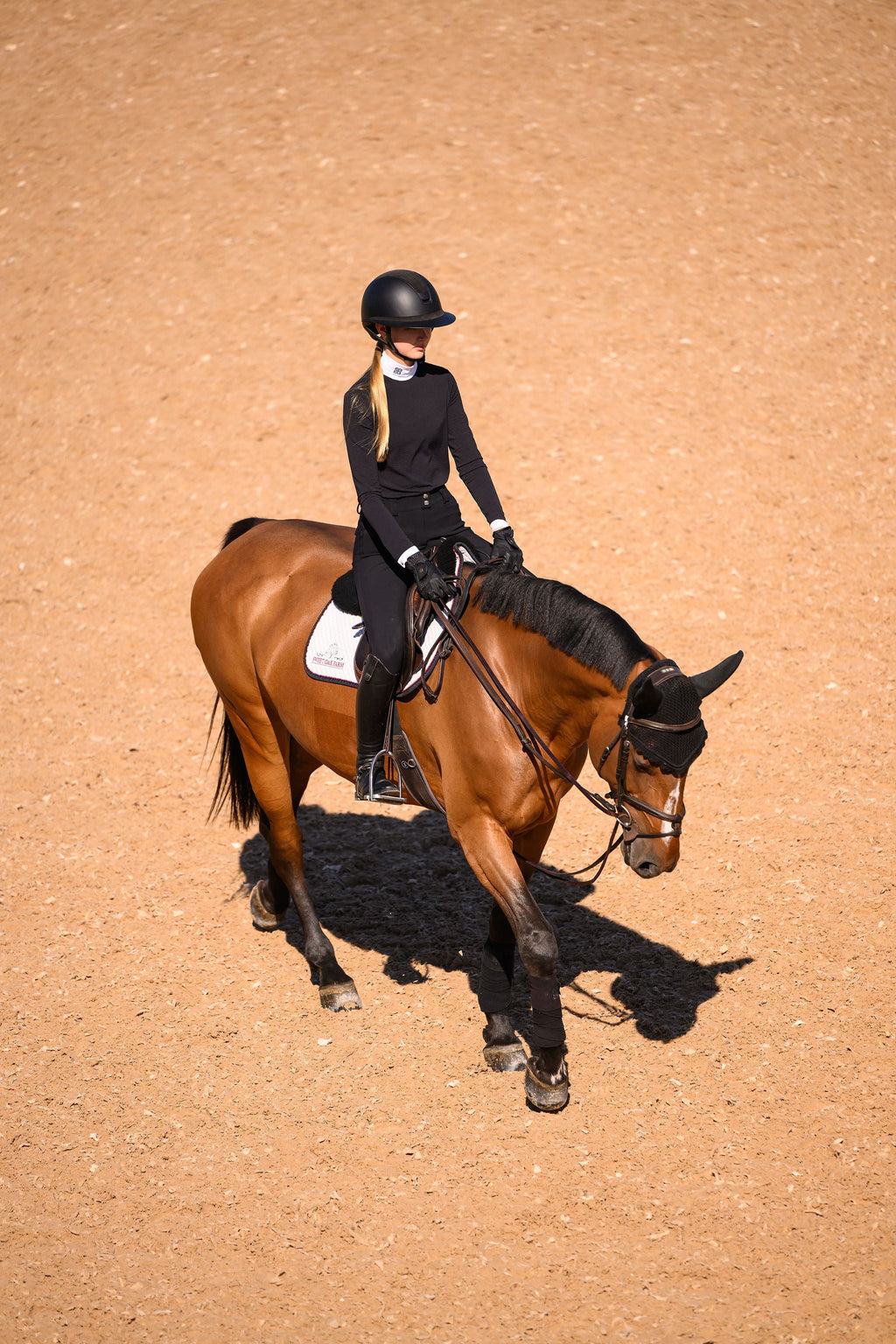 Euphoric Equestrian Sasha Turtleneck