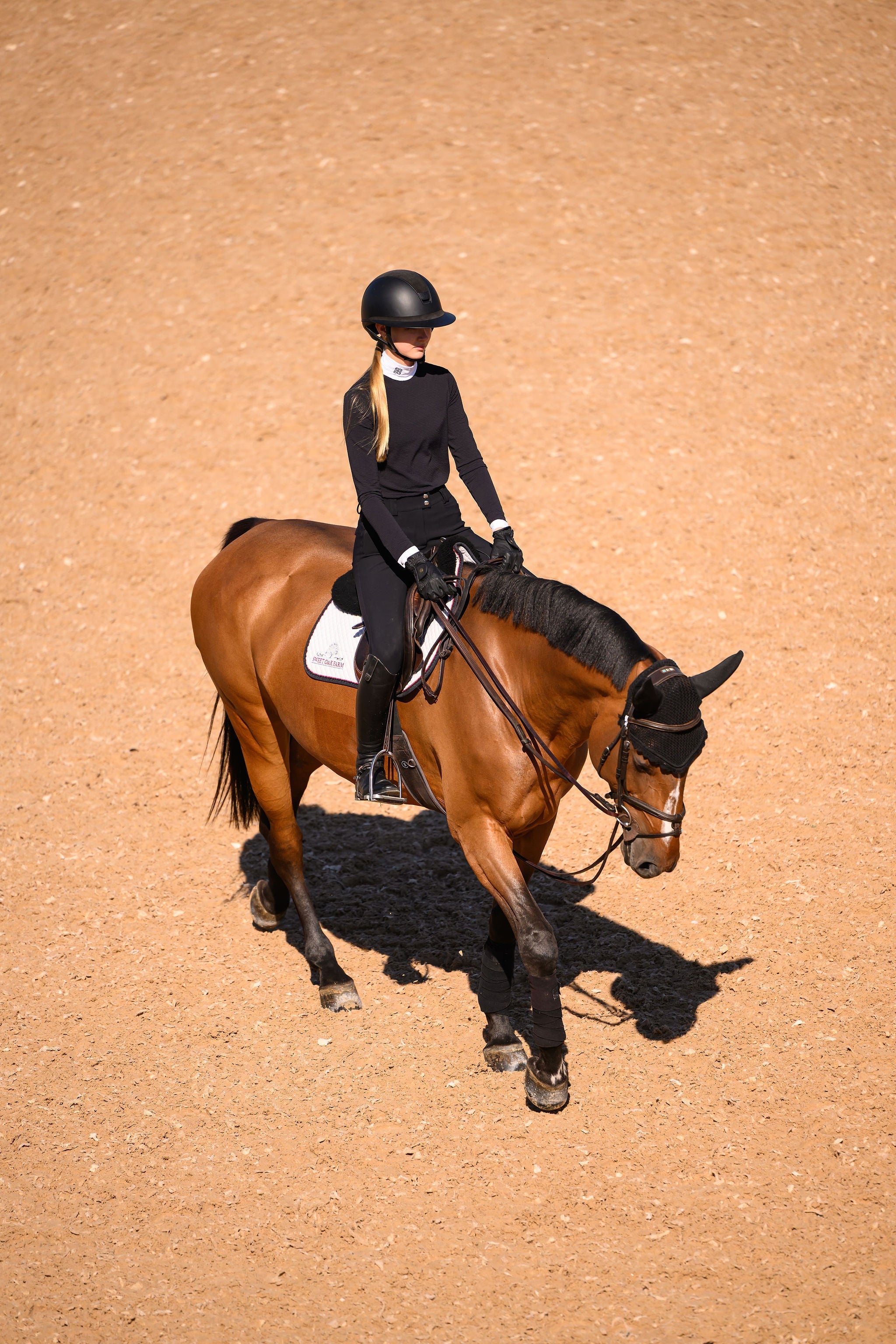 Euphoric Equestrian Sasha Turtleneck