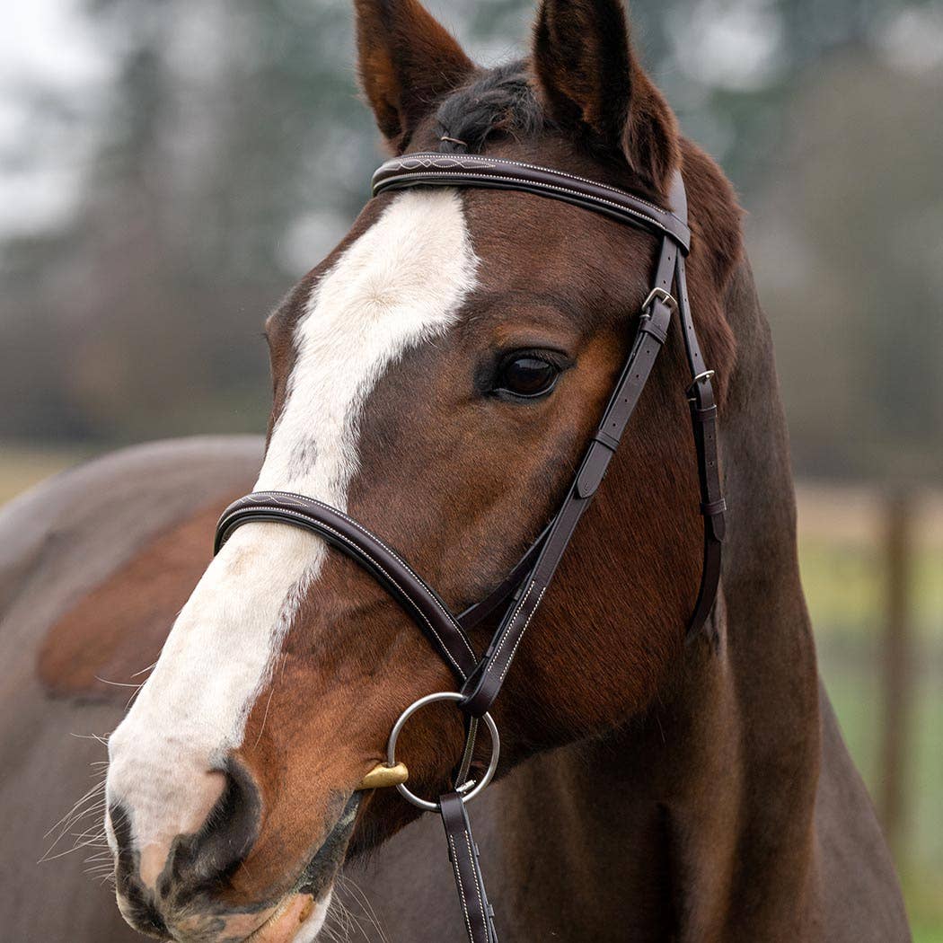 Royal Liverpool - Fancy Raised Leather Hunter Bridle - Havana Brown