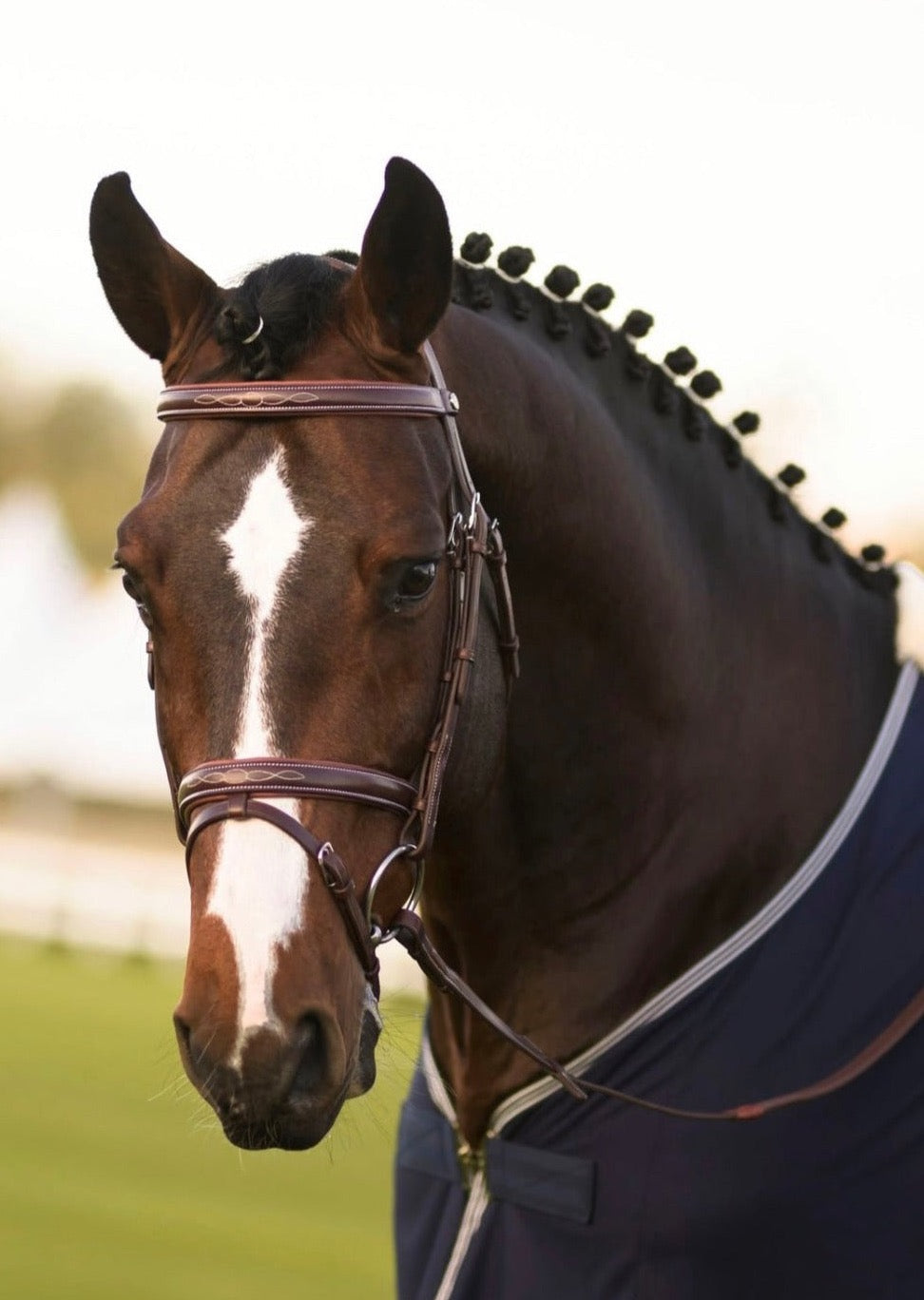Harcour Kendall Bridle & Reins set